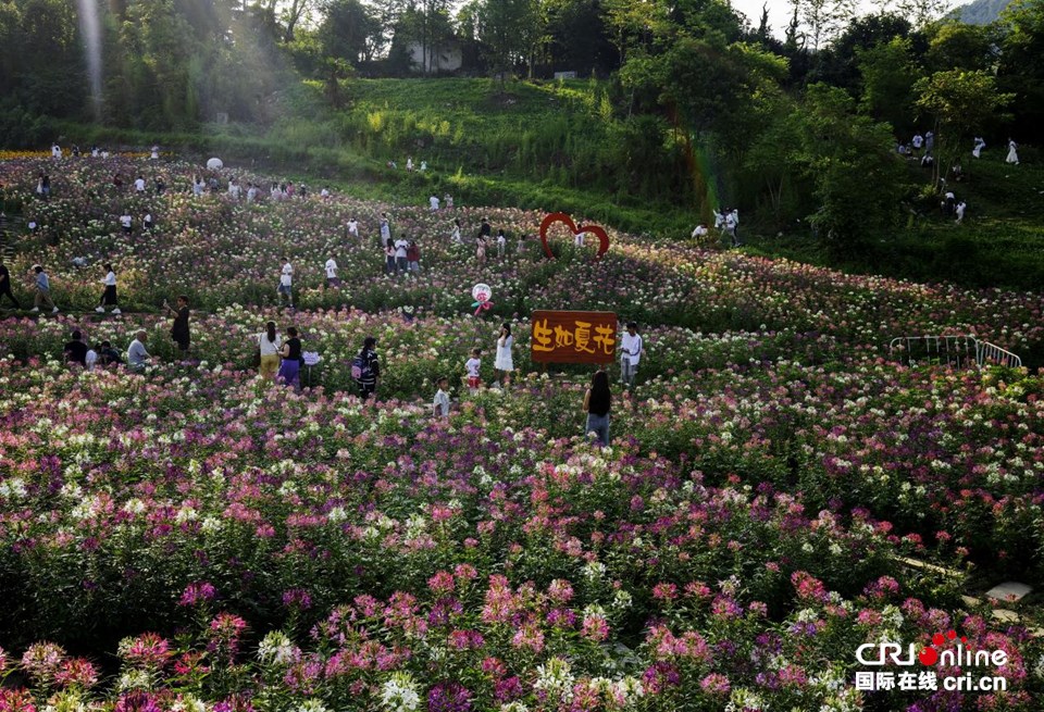 贵州六盘水：避暑宾客瑶池明湖花海乐园话清凉_fororder_615a4c72602f483dbda4cad4afdfed43.960x655