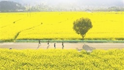 同心共绘幸福画卷 ——写在黔南布依族苗族自治州成立69周年之际