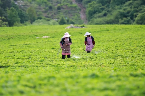 贵州都匀：大健康医药产业跑出“加速度”_fororder_640 (1)