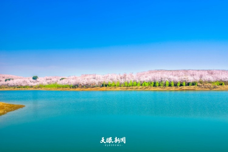 三月的贵州：是被春天打翻的调色盘_fororder_dD0xNzczODE4MjM2X3I9NGFmOTU0ZTdfdz0xMDgwX3E9MTAwX2U9anBn