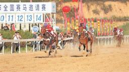 解码贵州“村字号”IP：马蹄四扬春潮生 “村马”跑出加速度
