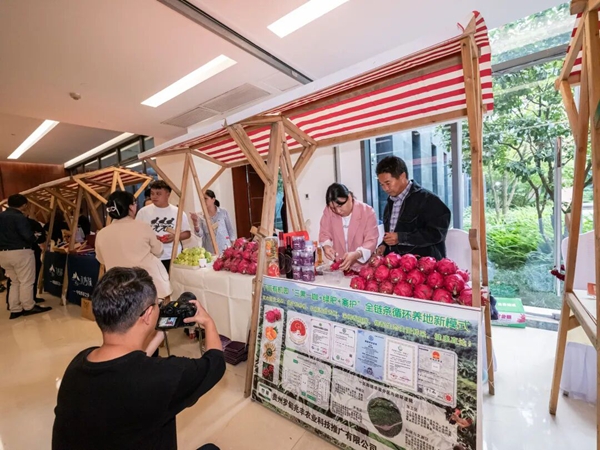 贵州罗甸火龙果产业搭上&ldquo;贵州农特产业指数矩阵&rdquo;直通车_fororder_媒体关注罗甸展品