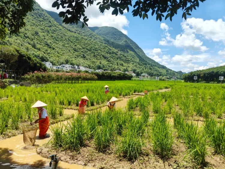兴义万峰林：避暑游玩的清凉胜地
