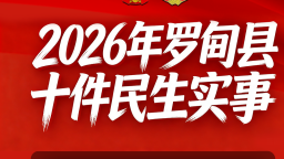 一图盘点2026年贵州罗甸十件民生实事
