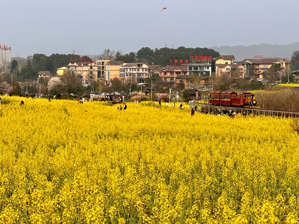 贵州仁怀：春花烂漫引客来 多元业态激活“赏花经济”_fororder_坛厂神采八卦园油菜花田景色