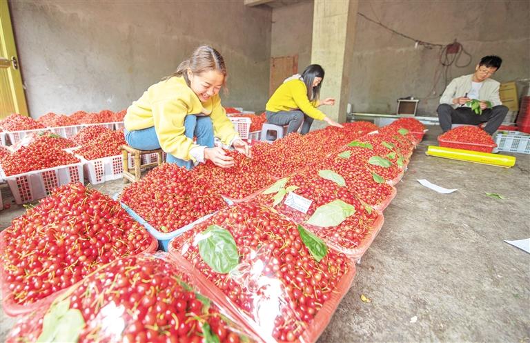 六维并举赋动能 产城共舞跃新阶 ——解码六盘水市水城区推动县域经济高质量发展