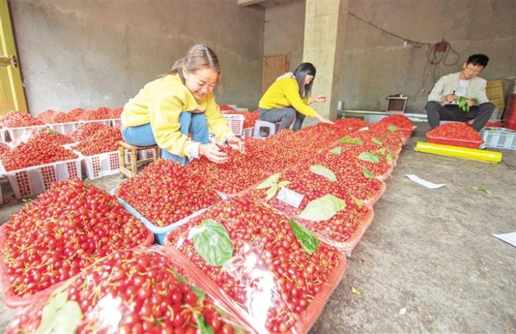六维并举赋动能 产城共舞跃新阶 ——解码六盘水市水城区推动县域经济高质量发展