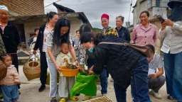 贵州施秉：送鸭苗兴产业 乡村振兴添活力