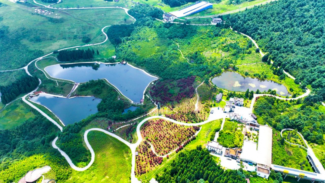 贵州六盘水：旅居“火”起来 游客“留”下来