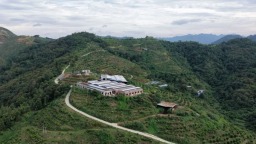 贵州罗甸：探索“养牛-粪污-果园”生态农业新模式 走出山地农业绿色发展新路子