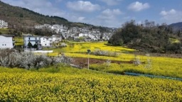 贵州安顺龙宫镇桃子村：避暑旅居项目建设有序推进绘就乡村振兴新图景