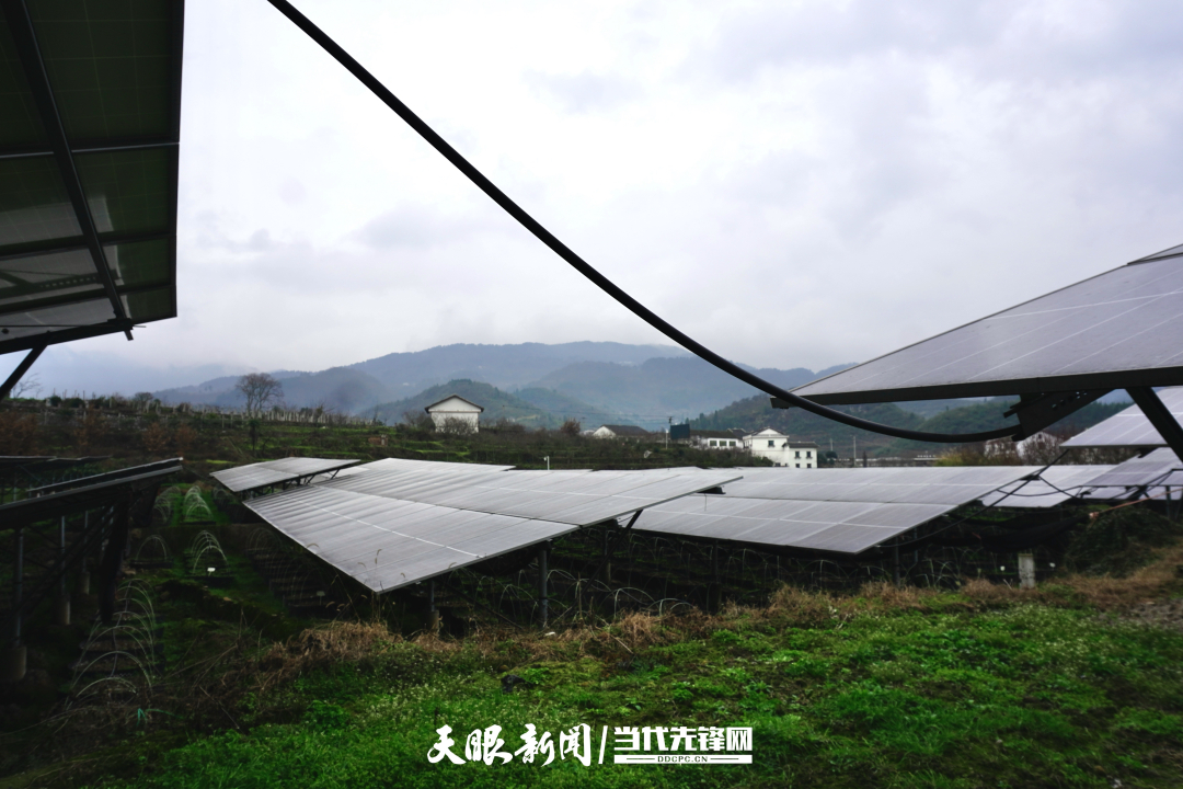 守好“两条底线” 拓宽“两山”转化路|“转”出美丽贵州新风采 守好“两条底线” 拓宽“两山”转化路|“转”出美丽贵州新风采