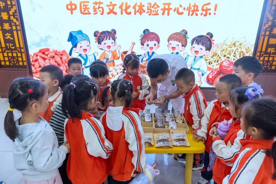 贵州施秉：课外实践感受中医文化独特魅力_fororder_2025年9月25日，贵州省黔东南苗族侗族自治州施秉县第四幼儿园的学生在施秉县民族中医院医生的指导下学习认识中草药。（磨桂宾 摄） (2)