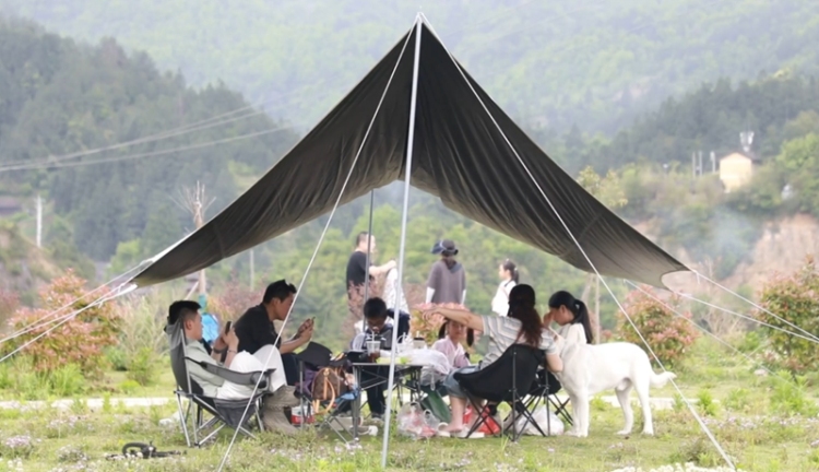 田畴沃野绘“丰”景 “农”墨重彩谱新篇——黔东南州“十四五”时期农业农村发展亮点综述