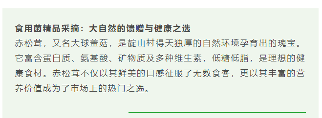 现在出发！避暑就来贵阳：【一村一景】靛山村（下）：森林美食、文化韵律、探险乐园