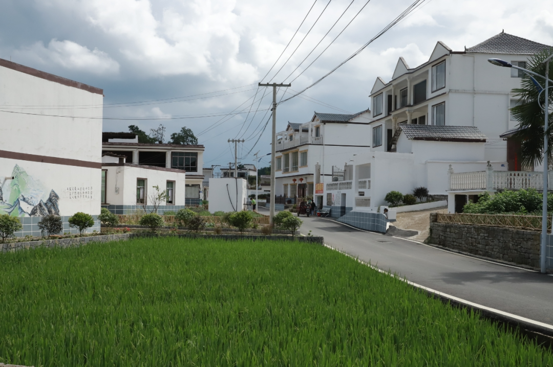 黔中大地多“丰”景 ——安顺市推进新时代农业农村现代化发展综述