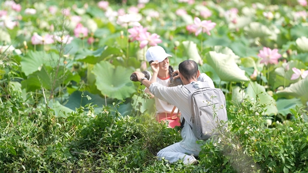 荷韵生金 贵州惠水以“花”为媒助力乡村振兴_fororder_拍照留念