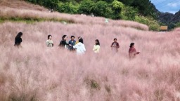 接待游客44.15万人次 贵州长顺国庆长假旅游实现升温