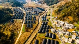 贵州晴隆碧痕镇：食用菌产业园奏响乡村振兴“最强音”