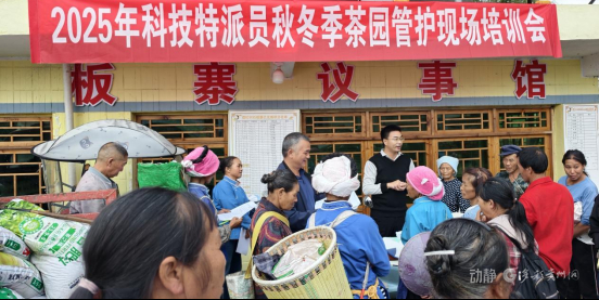 综合施策、精准发力！都匀市毛尖镇多措并举推进茶园秋冬管护，促农增收保增产