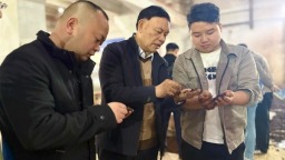 贵州仁怀：酿酒专家下沉解难题 技术护航生产提质效_fororder_22fd1f7a-0bfa-4cd6-9fb5-b6161d30818a.600x450
