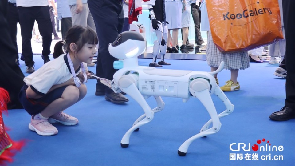 2025数博会 | 未来已来！无人机足球赛 机器人打八段锦 贵阳变身科幻现场_fororder_人机互动4.JPG