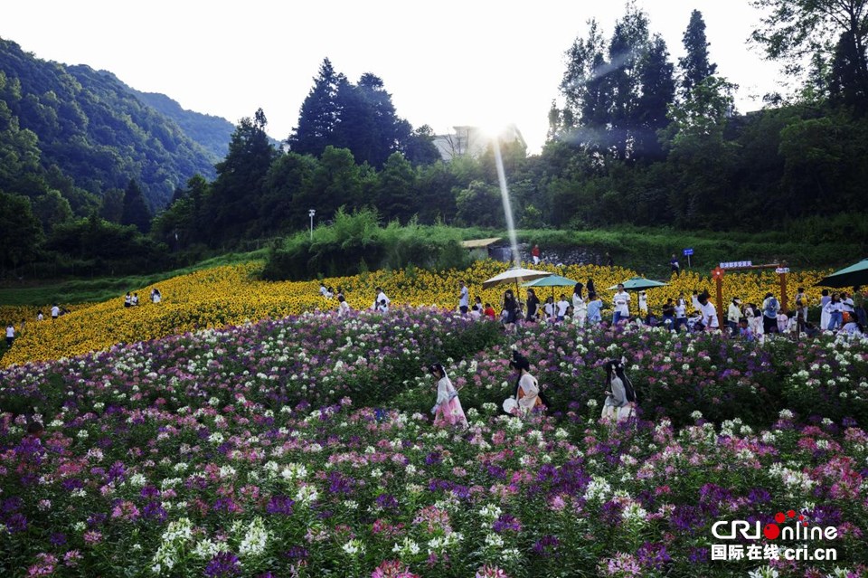 贵州六盘水：避暑宾客瑶池明湖花海乐园话清凉_fororder_99d66aaf4d4447238a37a701c2410e6f.960x639