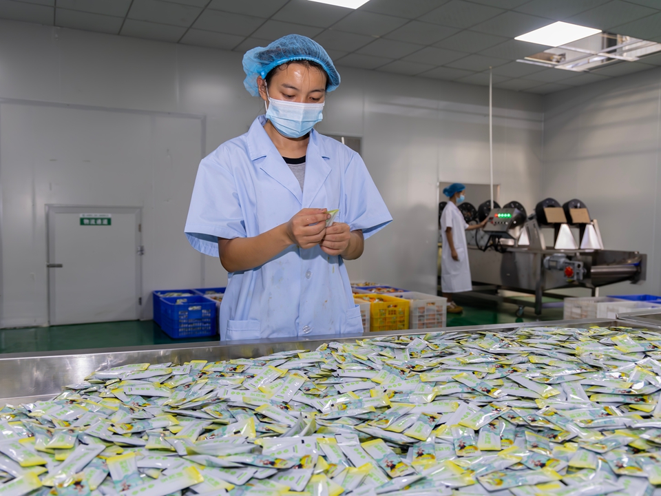 贵州罗甸：农产品加工忙_fororder_2025年8月26日，工人在贵州省黔南布依族苗族自治州罗甸县边阳镇贵州山味鲜生食品科技有限公司加工食品。 (1)