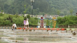 贵州龙里：余下鱼鳞坝成欢乐海洋