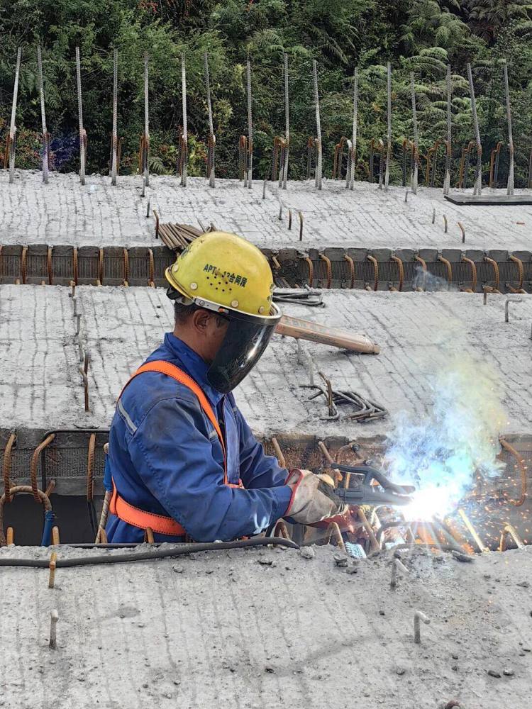 来自安盘高速建设工地的报道丨巨龙穿越“花木树”