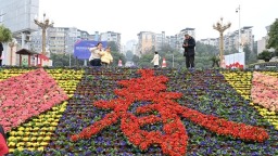 新春新气象 | 贵州仁怀：4万盆鲜花扮靓城市 满城春色迎新春