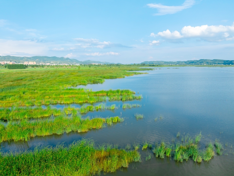 贵州威宁草海17℃“凉”方 生态活力引游客打卡_fororder_7月30日，草海是一望无际的水草+管庆巍  摄+18908571373 +2025年7月30日拍摄于威宁草海