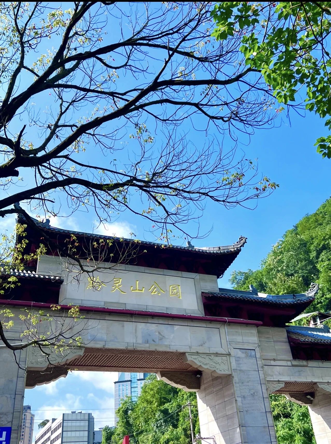 生态之城满目新｜“两山”理念的贵阳实践