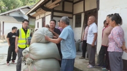 颗粒归仓 贵州正安6万余亩高粱开秤收购