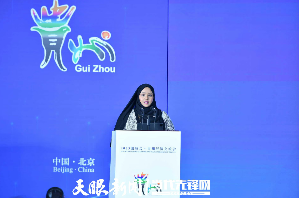 在链接全球中共享开放机遇｜贵州代表团参加2025年服贸会观察