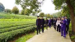 黔南农业招商洽谈会嘉宾考察都匀茶产业