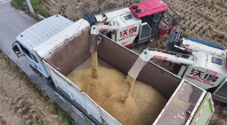 田畴沃野绘“丰”景 “农”墨重彩谱新篇——黔东南州“十四五”时期农业农村发展亮点综述