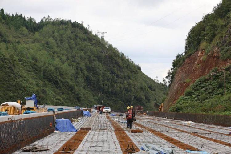 来自安盘高速建设工地的报道丨巨龙穿越“花木树”
