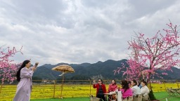 贵州贵定启动“花海+”文体旅欢乐季 带你解锁春日N种奇遇