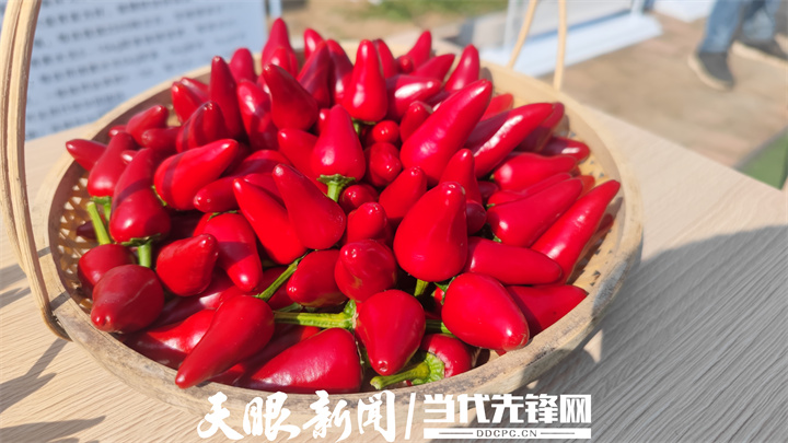 “贵品”出山亮相全球！贵州“品牌强农”成果亮眼
