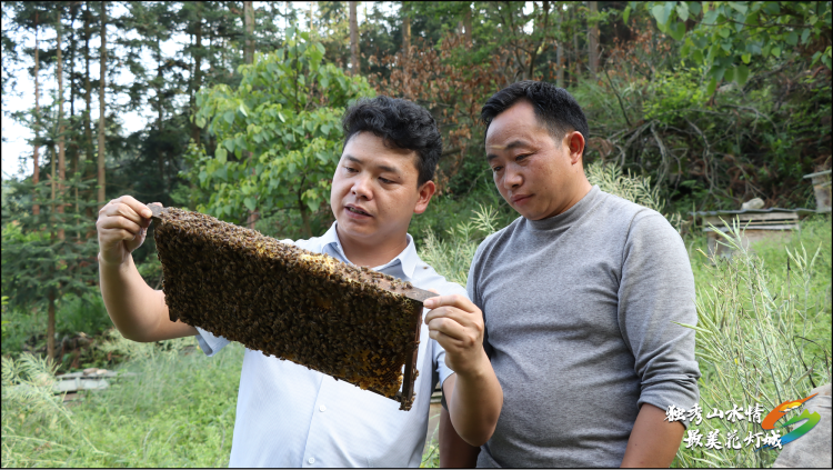 劳动者之歌 | 以初心为墨，书写紫林山村发展篇章——记“贵州省劳动模范”韦世贵_fororder_17470764341601