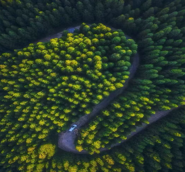 现在出发！避暑就来贵阳：【一村一景】靛山村（上）：春日秘境 到暮光森林·邂逅你的 “阿勒泰”