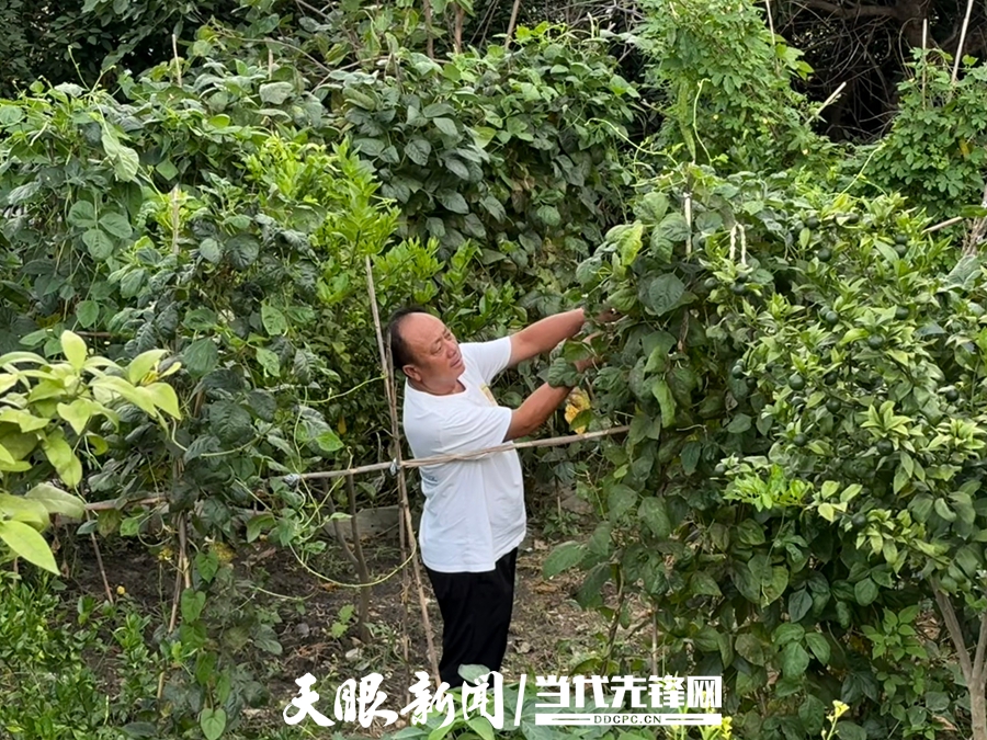 牂牁江上的生命托举！记“全国见义勇为英雄”赵孝凡