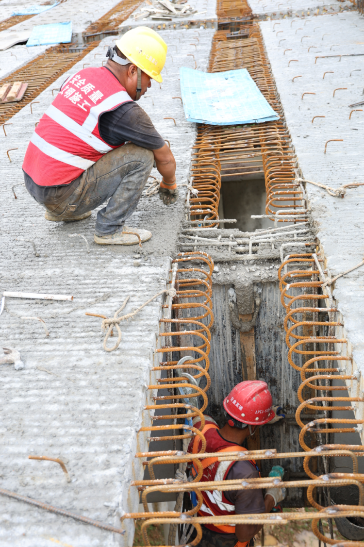 来自安盘高速建设工地的报道丨巨龙穿越“花木树”