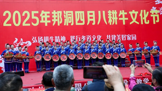 贵州天柱“四月八耕牛文化节” 奏响民俗新乐章_fororder_640 (1)