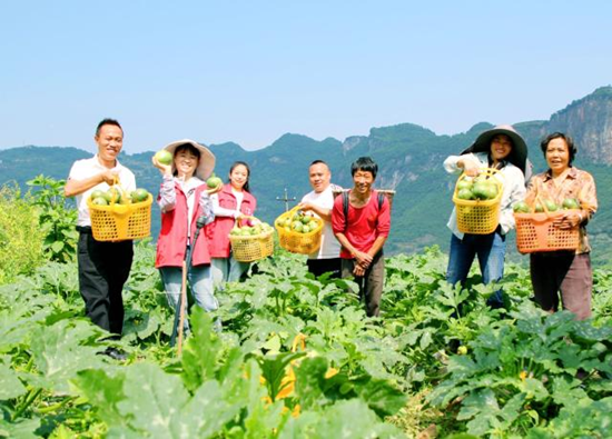 贵州清镇首批1565斤订单农产品采收上市_fororder_640 (1)