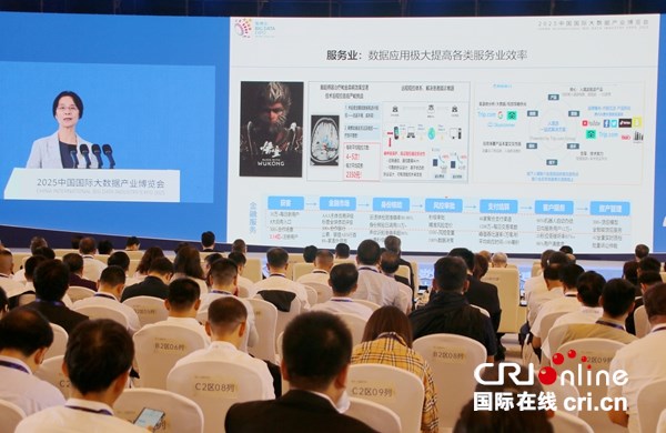 2025中国国际大数据产业博览会在贵阳开幕_fororder_IMG_6220_副本