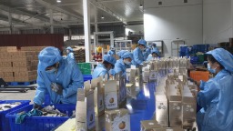 六盘水市六枝特区零工市场：驱动就业民生新引擎