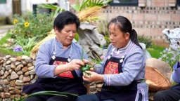 贵州荔波：粽似飞鸟衔福至 浓情粽香祈安康