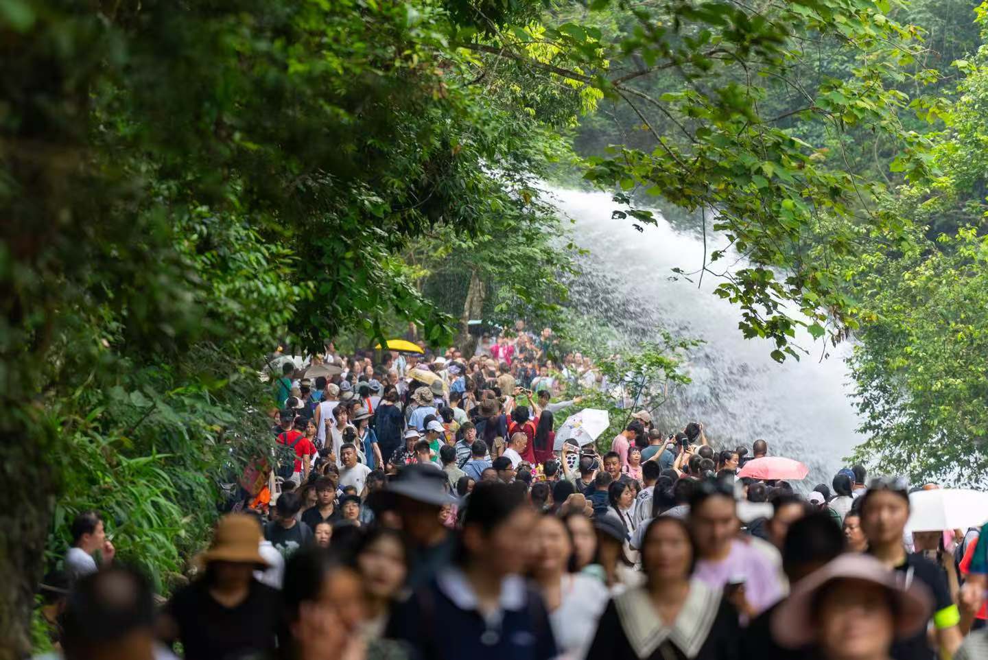因桥兴旅成“顶流”！邮储金融为景区赋能